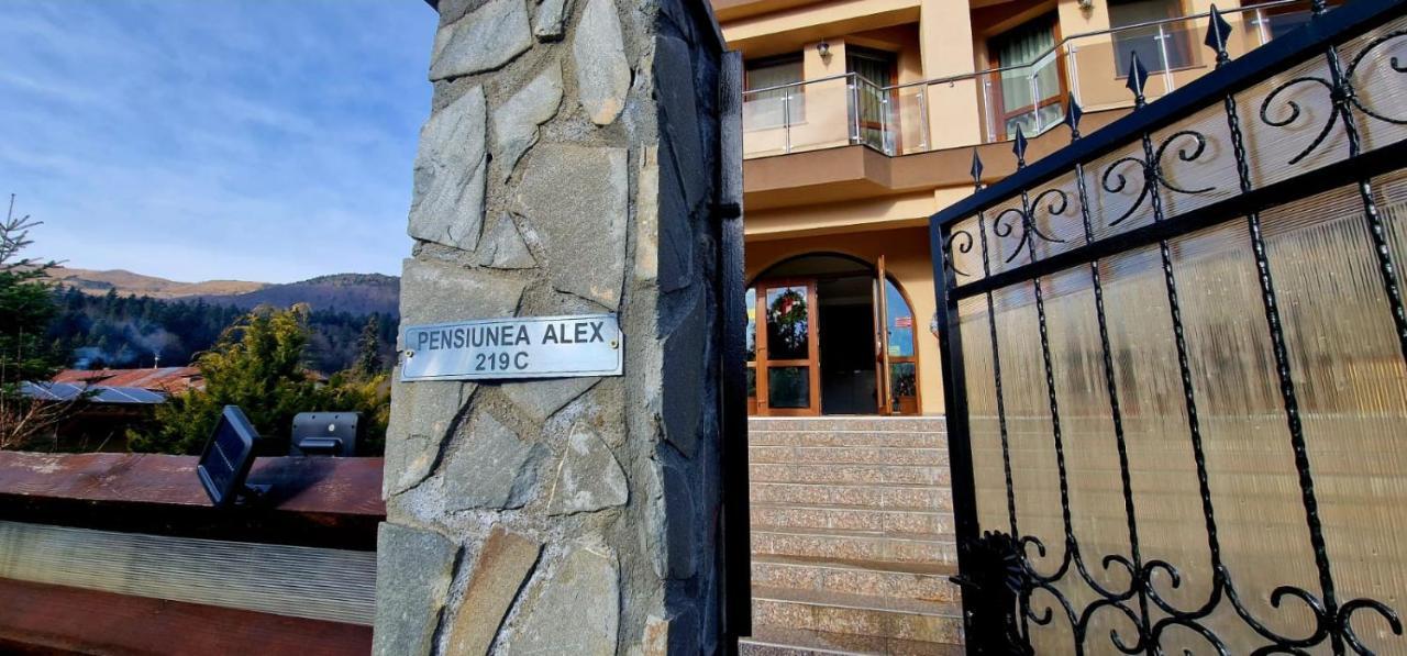 Pensiunea Alex Кейя Экстерьер фото